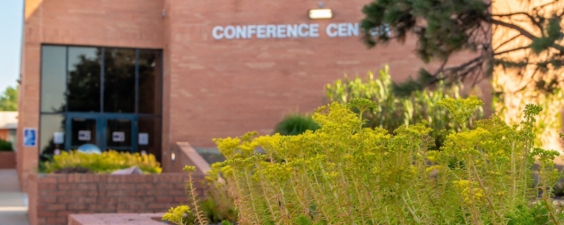 close up foliage in front of Conference Center